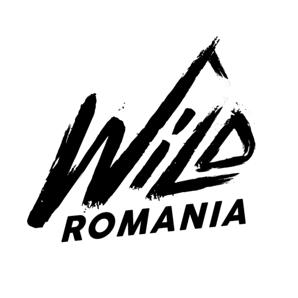 Wild-Ro---fb-profile-12