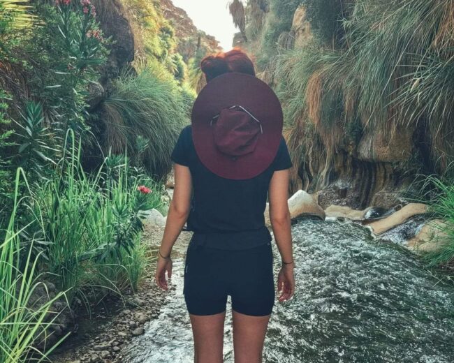 Wild Iordania