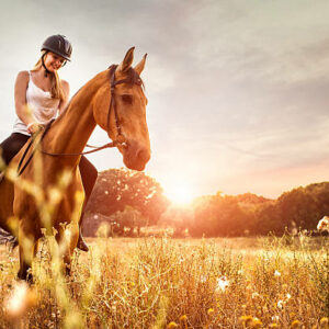 Young woman with a horse in nature