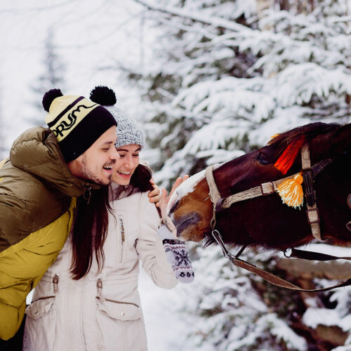 Lovely young couple in winter closes strokes a horse in a winter forest