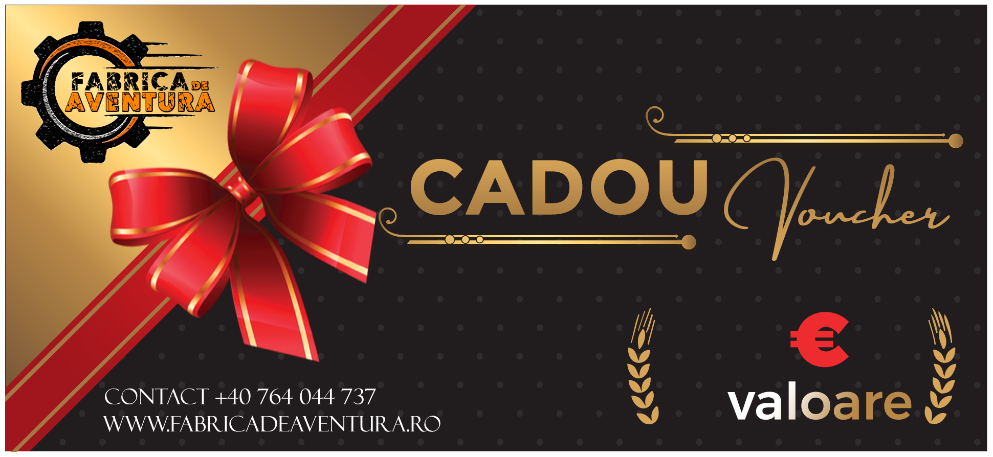 voucher_cadru_official copy22 voucher_cadru_official copy22