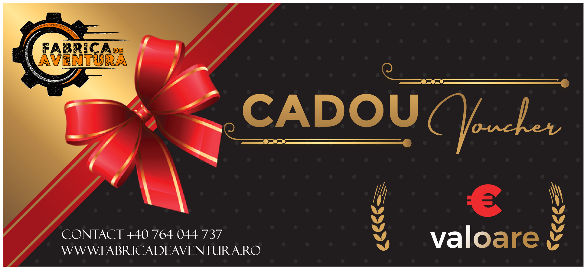 voucher_cadru_official copy22