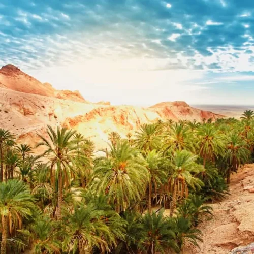 Chebika-Tunisia