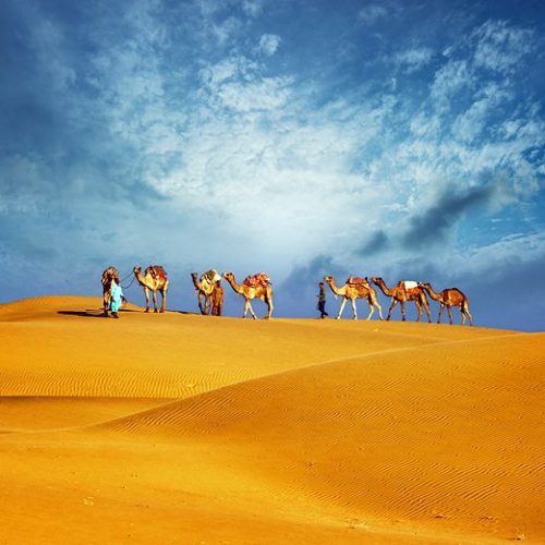 tunisia-grand-erg-oriental-sahara-dunes