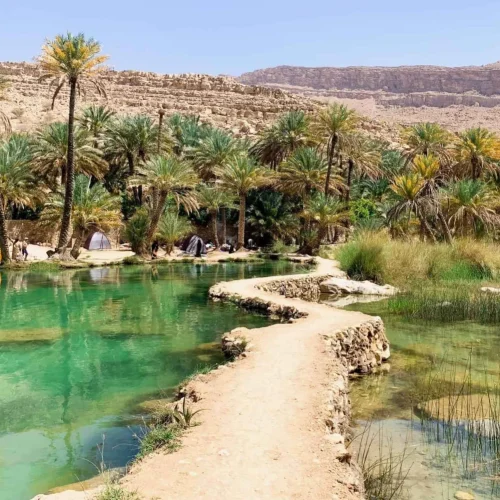 wahiba-sands-desert-wadi-bani-khalid-4765821 wahiba-sands-desert-wadi-bani-khalid-4765821