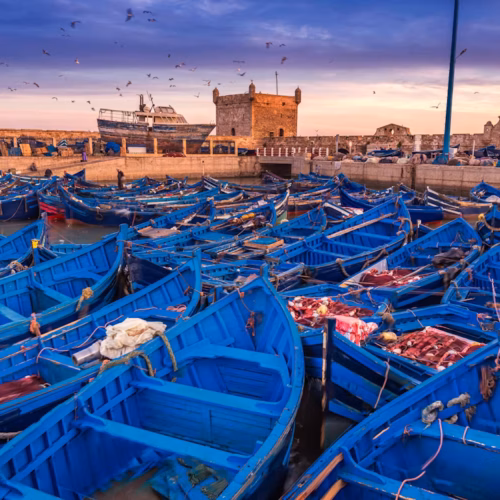 56e4a8e265a1f7a3a246b85bcf88d672-essaouira 56e4a8e265a1f7a3a246b85bcf88d672-essaouira