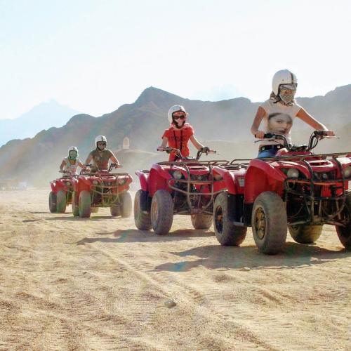 Desert safari (12) Desert safari (12)