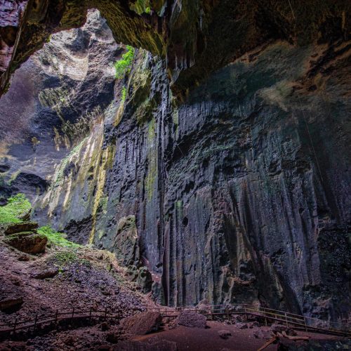 RS408_RS33309_Gomantong-cave
