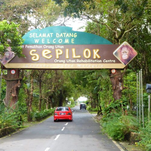 Wat-te-doen-in-Sepilok-Maleisie-3 Wat-te-doen-in-Sepilok-Maleisie-3