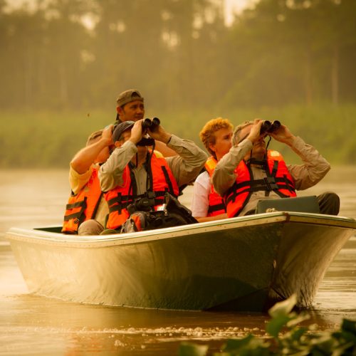 kinabatangan-river-borneo-1_orig kinabatangan-river-borneo-1_orig