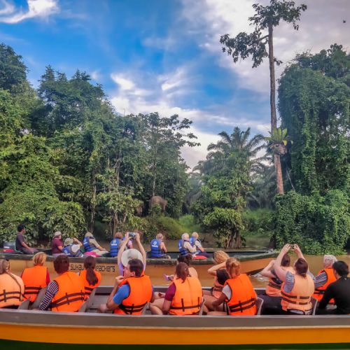 kinabatangan+river+cruise+pigmy+elephant++sukau+village+sabah+malaysia