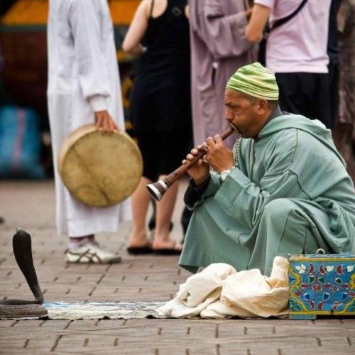serpent-jamaa-el-fnaa-marrakech serpent-jamaa-el-fnaa-marrakech