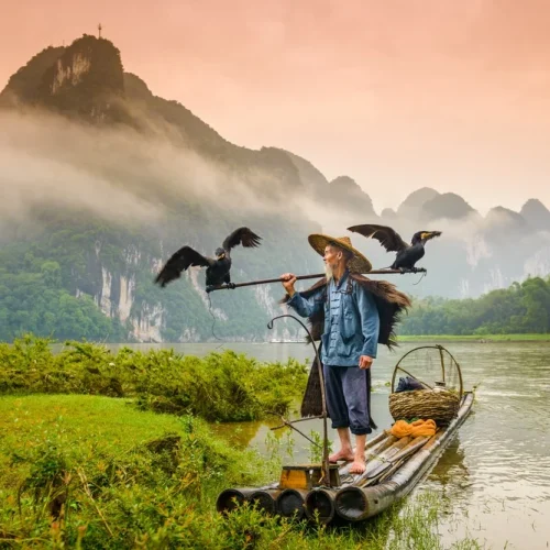 A traditional cormorant fisherman works on the Li River Yangshuo, China.
