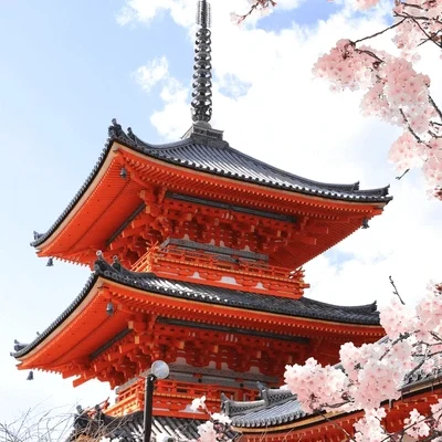ancient-pavilion-blooming-sakura-branches-600nw-2412680613