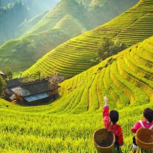 2ffb077d-c19e-433b-99a3-eee1ad36bc2d_3-day-private-tour-from-chengdu-by-air-guilin-longji-rice-terrace-and-yangshuo-xlarge