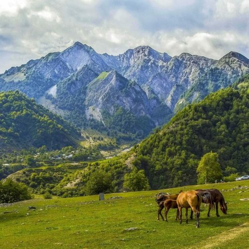 3.-Gabala (1) 3.-Gabala (1)