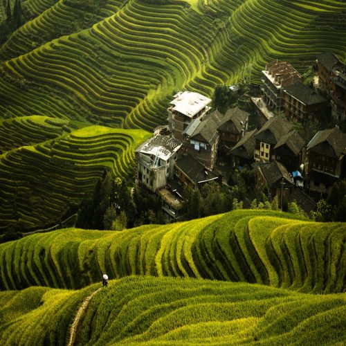 Beautiful-Longji-Rice-Terraces