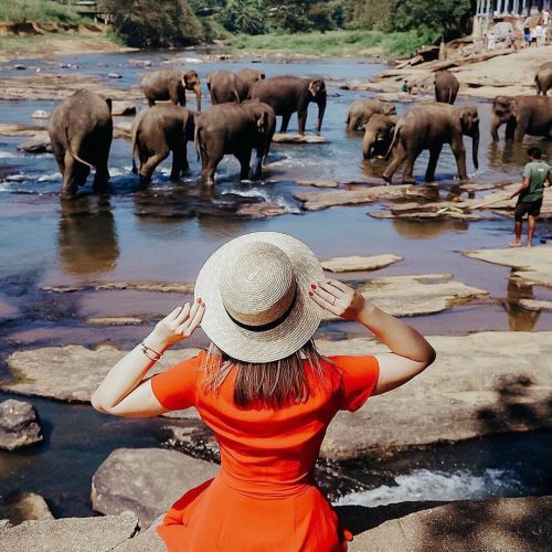 Elephant-Sanctuary-Sri-Lanka