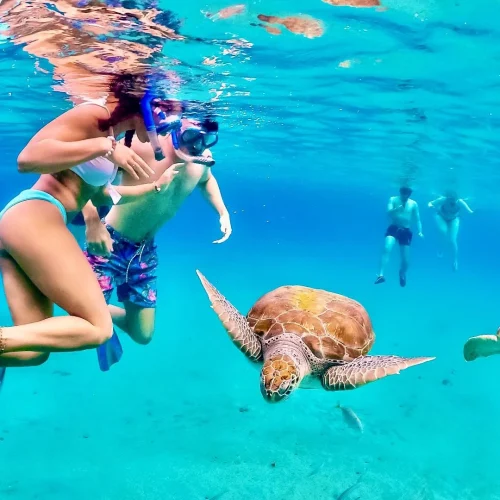 Jeddah-Red-Sea-Snorkeling-2 Jeddah-Red-Sea-Snorkeling-2