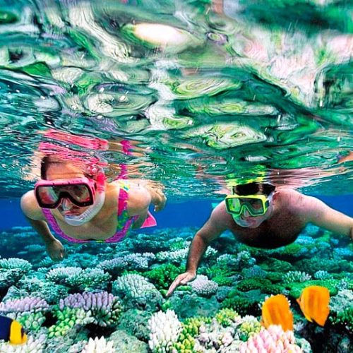 Snorkelers_2