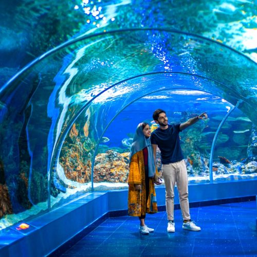 jeddah-explore-fakieh-aquarium jeddah-explore-fakieh-aquarium