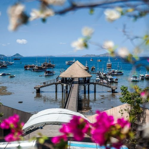 labuan-bajo-flowers-pier