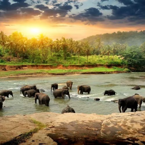 sri-lanka