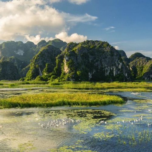 van-long-wetland-nature-reserve-thumb van-long-wetland-nature-reserve-thumb