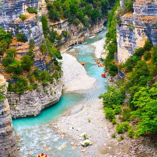 101008864_1462966837219676_1371312364456119045_n (1)