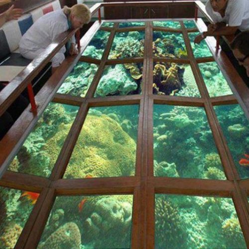 Glass-Bottom-Boat-Ride