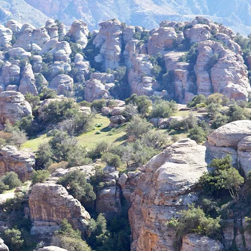 th-dana-biosphere-reserve-19092023