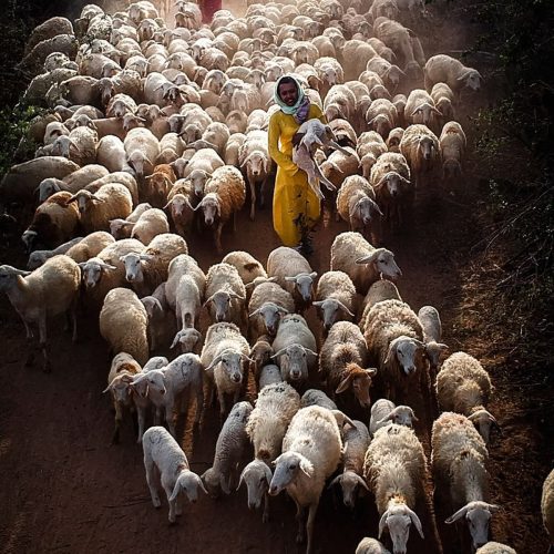 06706579f596ec0ecf2219055cccb718