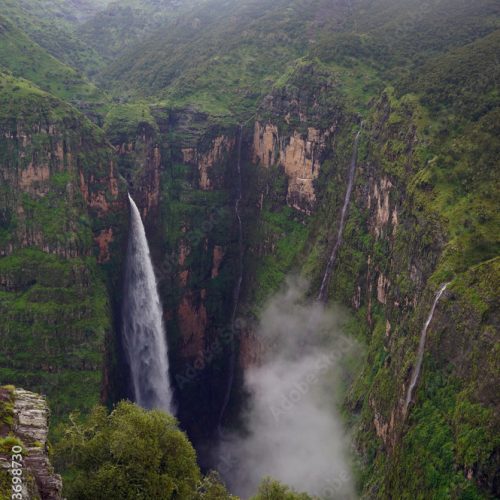 1000_F_493698730_HRM7fbapgyIm1xQ08A7iwiqu3KfTxJLo