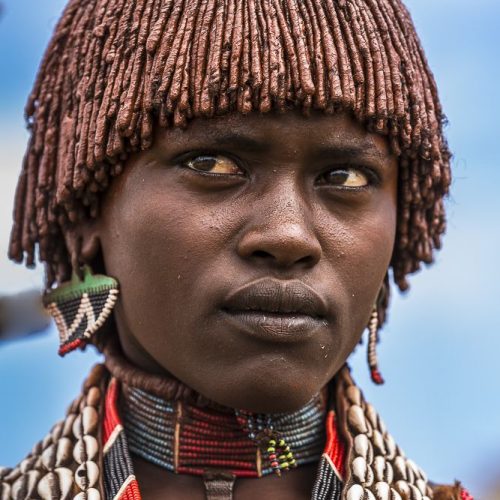 43bbc68dd3f0b348f199c816f18fbc74