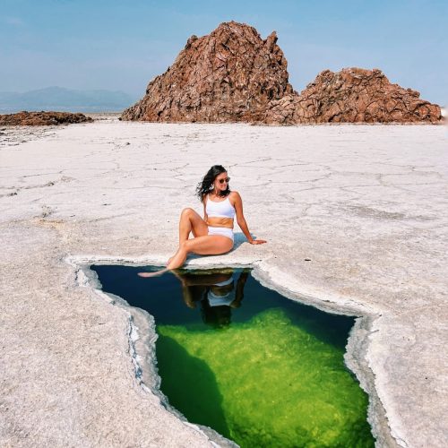 6cea266f-29fd-4999-b0b5-6f9f20b55cc7