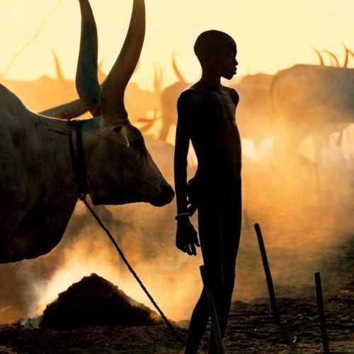 90d42b5f6964e7ea952a02f37ed86212