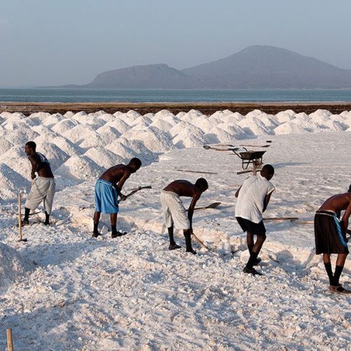 bfc01b28c2e9f22ebb2d4fced651e64c