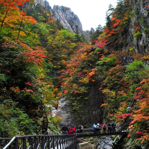 #Seoraksan National Park, #Gangwon Province, Korea #Seoraksan National Park, #Gangwon Province, Korea