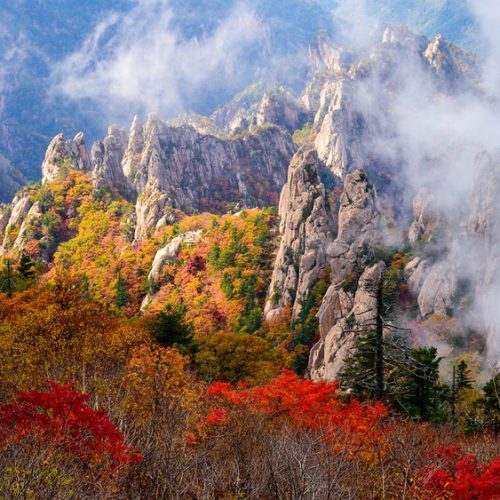 a97524c8-3820143201500021k_Autumn-of-Yongajangseong-Ridge a97524c8-3820143201500021k_Autumn-of-Yongajangseong-Ridge