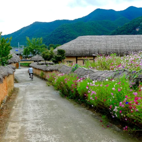 bye-myself_south_korea_andong_01232 bye-myself_south_korea_andong_01232