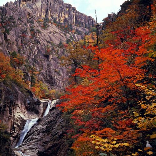 http___www_antiquealive.com_Korea_Tour_Korea_Tour_Packages_Exploration_Eastern_Korea.html Seoraksan Mountain Autumn Foliage http___www_antiquealive.com_Korea_Tour_Korea_Tour_Packages_Exploration_Eastern_Korea.html Seoraksan Mountain Autumn Foliage
