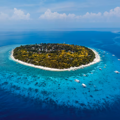 guide-to-balicasag-island-bohol-diving-spots-sea-turtles-barracudas-and-marine-sanctuary-12 guide-to-balicasag-island-bohol-diving-spots-sea-turtles-barracudas-and-marine-sanctuary-12
