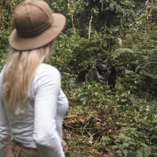 15. BWINDI 15. BWINDI