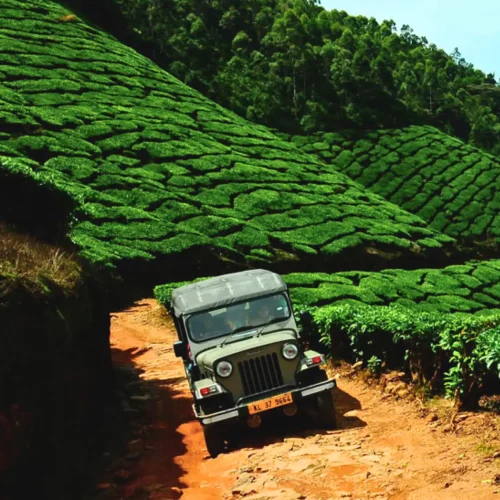 Kolukkumalai-Jeep-Safari_1-1724838113775 Kolukkumalai-Jeep-Safari_1-1724838113775