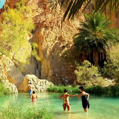 Tamerza-nature-800x500-1-500x500 Tamerza-nature-800x500-1-500x500