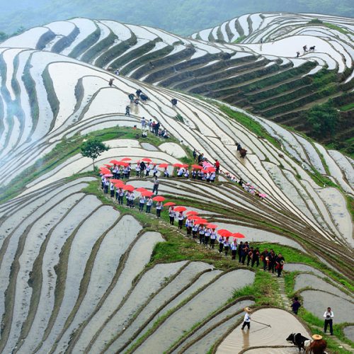 jiulongwuhu6 jiulongwuhu6
