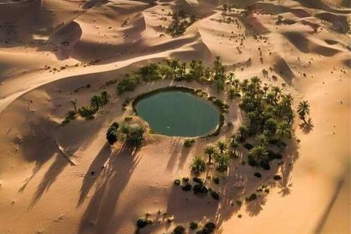 Filming_in_the_Bahariya_Oasis